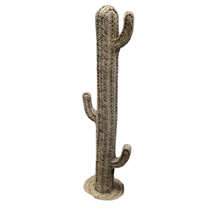Decor Cactus-0